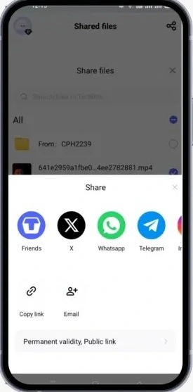 Features of Terabox Mod APK