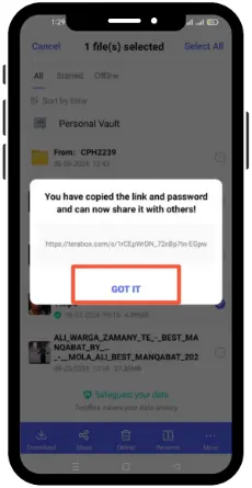 Changing the extraction code for share links 3